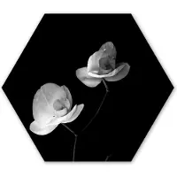 MuchoWow Hexagon wanddecoratie - Kunststof Wanddecoratie - Hexagon Schilderij - Orchidee - Bloemen - Zwart - Wit - Stilleven - 120x103 cm