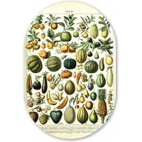 MuchoWow Muurovaal 60x90 cm - Ovale wanddecoratie Fruit - Eten - Design - Vintage - Adolphe Millot - Ovalen schilderij - Muurdecoratie woonkamer - Kamer decoratie - Schilderijen - Wandcirkel