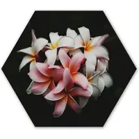 MuchoWow Hexagon wanddecoratie - Kunststof Wanddecoratie - Hexagon Schilderij - Bloemen - Roze - Zwart - Flora - Botanisch - 37x32 cm