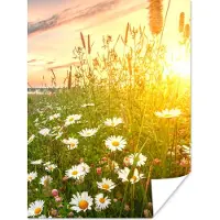 PosterMonkey Poster Bloemen - Madelief - Natuur - Zon - Horizon - 60x80 cm