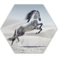 MuchoWow Hexagon wanddecoratie - Kunststof Wanddecoratie - Hexagon Schilderij - Paard - Dieren - Zand - Natuur - 75x65 cm