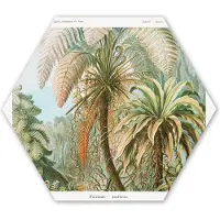 MuchoWow Hexagon wanddecoratie - Kunststof Wanddecoratie - Hexagon Schilderij - Vintage - Oude meesters - Varens - Planten - Natuur - 37x32 cm