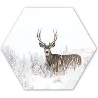MuchoWow Hexagon wanddecoratie - Kunststof Wanddecoratie - Hexagon Schilderij - Hert - Winter - Sneeuw - Dieren - Seizoenen - Wit - 37x32 cm