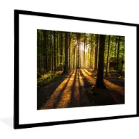 PosterMonkey Fotolijst incl. Poster - Zon - Bomen - Bos - Landschap - Natuur - 80x60 cm - Posterlijst