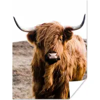 PosterMonkey Poster Schotse hooglander - Landschap - Koe - Bruin - Dieren - Natuur - 90x120 cm
