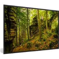 PosterMonkey Fotolijst incl. Poster - Bomen - Steen - Bos - Natuur - Planten - 30x20 cm - Posterlijst