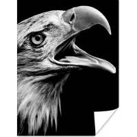 PosterMonkey Poster Adelaar - Portret - Roofvogels - Zwart - Wit - Vogel - 30x40 cm