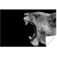 PosterMonkey Poster Dieren - Leeuw - Zwart - Wit - Portret - 30x20 cm