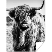 PosterMonkey Poster Schotse hooglander - Natuur - Koe - Zwart - Wit - 60x80 cm