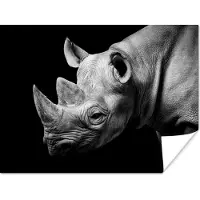 PosterMonkey Poster Dieren - Neushoorn - Zwart - Wit - Portret - 80x60 cm