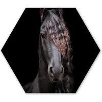 MuchoWow Hexagon wanddecoratie - Kunststof Wanddecoratie - Hexagon Schilderij - Paarden - Fries - Manen - Zwart - Dieren - 75x65 cm