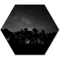 MuchoWow Hexagon wanddecoratie - Kunststof Wanddecoratie - Hexagon Schilderij - Sterrenhemel - Bos - Hemel - Zwart - Bomen - 120x103 cm - Kerstdecoratie in huis - Kerstmis