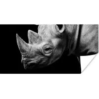 PosterMonkey Poster Dieren - Neushoorn - Zwart - Wit - Portret - 150x75 cm