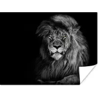 PosterMonkey Poster Leeuw - Ogen - Oranje - Zwart wit - Dieren - Portret - 120x90 cm