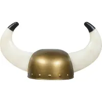 Boland Viking helm (goudkleurig en wit)