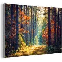 MuchoWow Wanddecoratie Metaal - Aluminium Schilderij Industrieel - Bos - Zon - Natuur - Herfst - 150x100 cm - Dibond - Foto op aluminium - Industriële muurdecoratie - Voor de woonkamer/slaapkamer