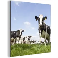 MuchoWow Wanddecoratie Metaal - Aluminium Schilderij Industrieel - Koeien - Gras - Dieren - Zon - Boerderij - 20x20 cm - Dibond - Foto op aluminium - Industriële muurdecoratie - Voor de woonkamer/slaapkamer