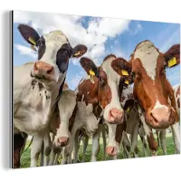 MuchoWow Wanddecoratie Metaal - Aluminium Schilderij Industrieel - Koeien - Dieren - Weiland - Natuur - 120x80 cm - Dibond - Foto op aluminium - Industriële muurdecoratie - Voor de woonkamer/slaapkamer