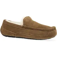 Ugg Men Ascot Chestnut-Schoenmaat 42