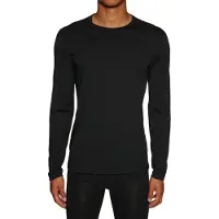 Icebreaker Functioneel shirt '200 Oasis' zwart