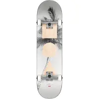 Globe G1 Stack Lone Palm Skateboard