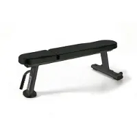Toorx Professional Flat Bench WBX-B2000 - Trainingsbank