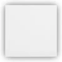 Ecosun - E300 - Infrarood Verwarming - Infraroodpaneel - 300 watt - Wand en systeemplafonds - Thermokristalcoating structuur infrarood paneel -