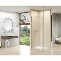 Van Rijn ST01 inloopdouche met RVS staander 80x200cm RVS