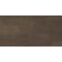 Flaviker Tegel 60 x 120 cm - Bronze - Keramiek - Rechthoekig - 2 stuks - 1,44 m2 - Metaallook - Wandtegels - Tegels - 0004046