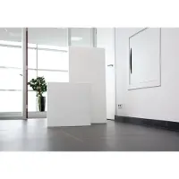 Ecosun E300c infrarood paneel plafond met verlaagd profiel 58x58cm 300W