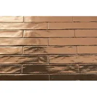 DTG Oud Hollands mozaïek wandtegel 5x25 goud