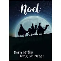 MajesticAlly Christelijke kerstkaarten | Voordeelpakket | 10 kerstkaarten met enveloppen | Noel - wijzen |