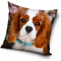 Dog pillowcase 40*40 cm