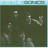 Strummer International Litd Here Are The Sonics/Lp