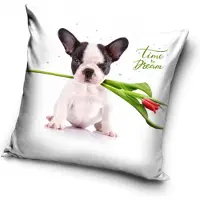 Carbotex Bostonterriër - puppy - Time to dream - sierkussensloop - 40 x 40 cm