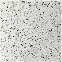 Terre d'Azur Terre d´Azur Granito terrazzo vloertegel parma 40x40 gerectificeerd