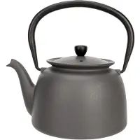 Cosy & Trendy 8278312 Jane Theepot Donkergrijs 0,92L Gietijzer