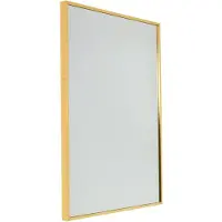 Fragix Wandspiegel Fragix | Fragix metaal goudkleurig 60x40x3 cm wandspiegels | NADUVI