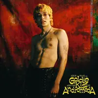 Universal Music Adam Naas - Goldie And The Kiss Of Andromeda (LP)