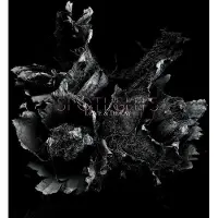 Pias Spotlights - Love & Decay (CD)