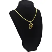 Fifo Schorpioen ketting, Goud, Roestvrij Staal, Sterrenbeeld, Scorpion, Scorpio, Hip-Hop, Fashion, Scorpion King