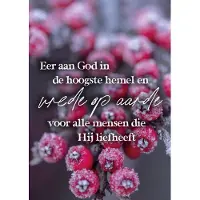 MajesticAlly Kerstkaart 'Gezegende kerstdagen - besjes ' 12 stuks met envelop