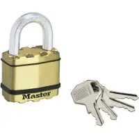Masterlock Excell hangslot 50 mm - beugellengte 25 mm