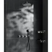 Saniclear Plus inbouw regendouche met 30cm hoofddouche en muurarm RVS