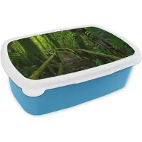MuchoWow Broodtrommel Blauw - Lunchbox - Brooddoos - Jungle - Brug - Mos - Natuur - Tropisch - 18x12x6 cm - Kinderen - Jongen