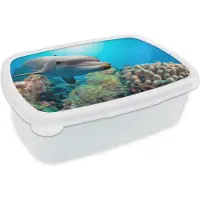 MuchoWow Broodtrommel Wit - Lunchbox - Brooddoos - Dolfijn - Zee - Koraal - 18x12x6 cm - Volwassenen