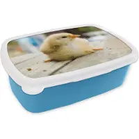 MuchoWow Broodtrommel Blauw - Lunchbox - Brooddoos - Schattig kuikentje op een houten tafel - 18x12x6 cm - Kinderen - Jongen