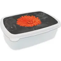 MuchoWow Broodtrommel Wit - Lunchbox - Brooddoos - Bloemen - Oranje - Zwart - Wit - 18x12x6 cm - Volwassenen
