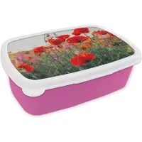 MuchoWow Broodtrommel Roze - Lunchbox Klaproos - Bloemen - Rood - Paars - Weide - Brooddoos 18x12x6 cm - Brood lunch box - Broodtrommels voor kinderen en volwassenen