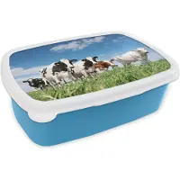 MuchoWow Broodtrommel Blauw - Lunchbox - Brooddoos - Koeien - Platteland - Weiland - Natuur - Dieren - 18x12x6 cm - Kinderen - Jongen